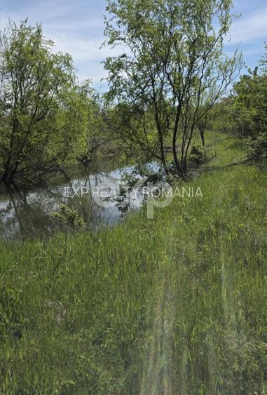 Teren 3015 mp Moșoaia | Zonă liniștită lângă pădure | Ideal casă | 16,9 €/mp - 7