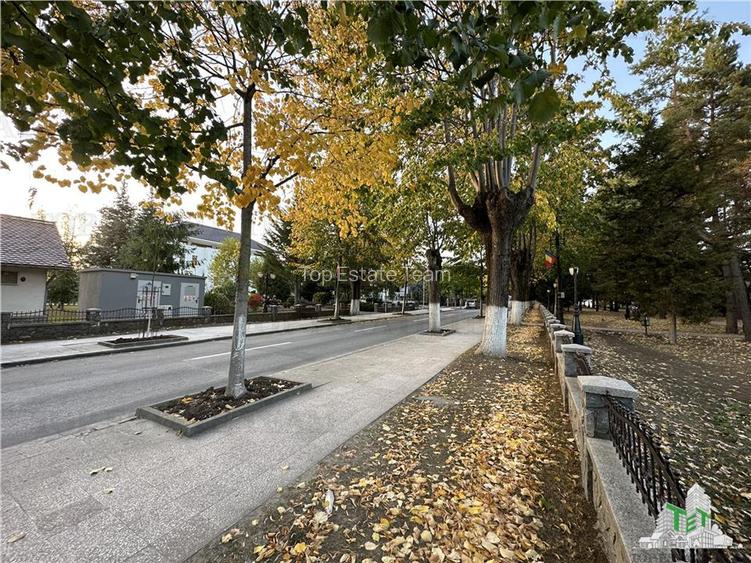 Vila cocheta  de vanzare 5 camere cu 436 mp teren si toate utilitatile, mobilata - 16