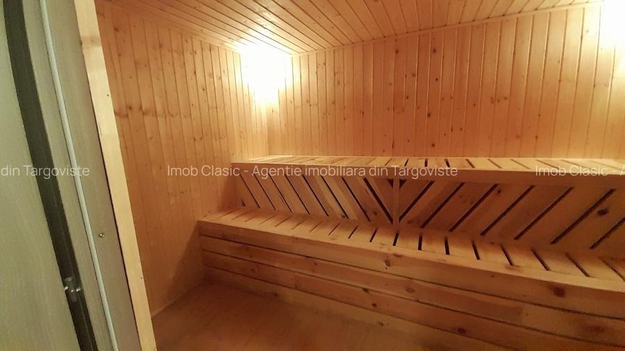 Vanzare proprietate - casa si teren  Voinesti Dambovita - 19