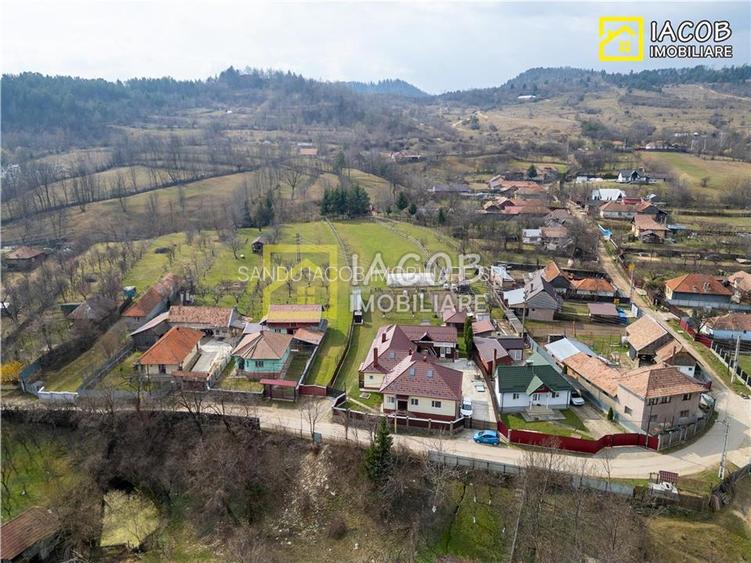 Casa, anexe, 3762 mp teren, 25000 mp padure, Comanesti, jud. Bacau - 6