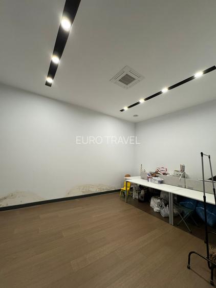 spatii comerciale premium (diferite suprafete disponibile 300,500,800 mp) - 12