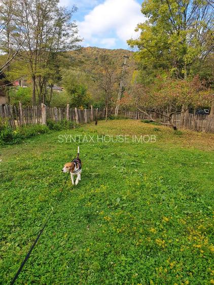Puciosa Moreni Valea Lunga Sat Izvoru 20000mp teren de vanzare - 8