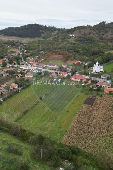 Teren 3200 mp I intravilan I Certificat Urbanism I Aschileu Mic - 8