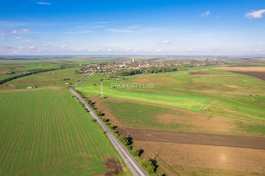 Teren de 104000 mp în Vinga - 8