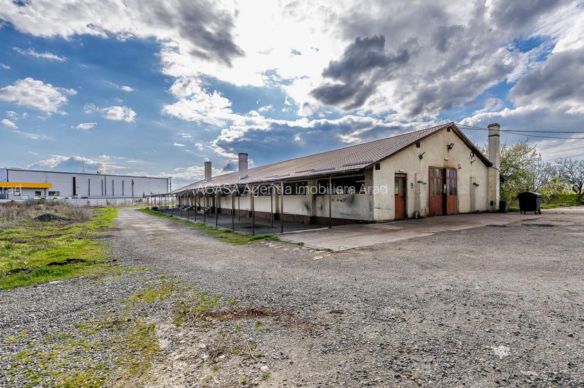 Hala industrială cu teren 10.495 mp – potențial supermarket, Lipova - 7