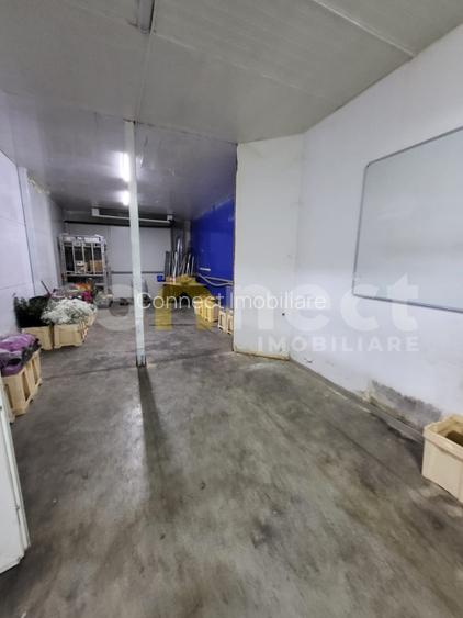 Hala 300mp+birouri 50mp - 4