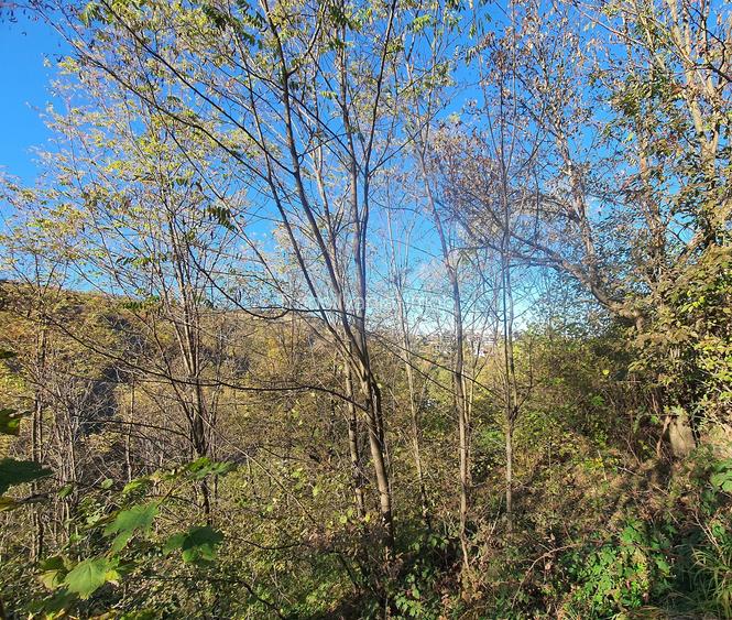 Teren Brasov – str. Podul lui Grid  zona de case - 5