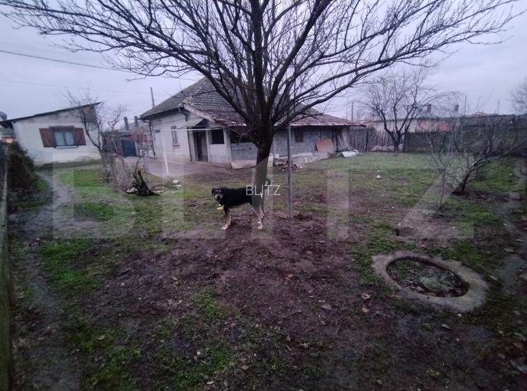 Casa P, 90 mp, 516 mp teren, deschidere 20 m, zona Romanesti - Bucura - 14