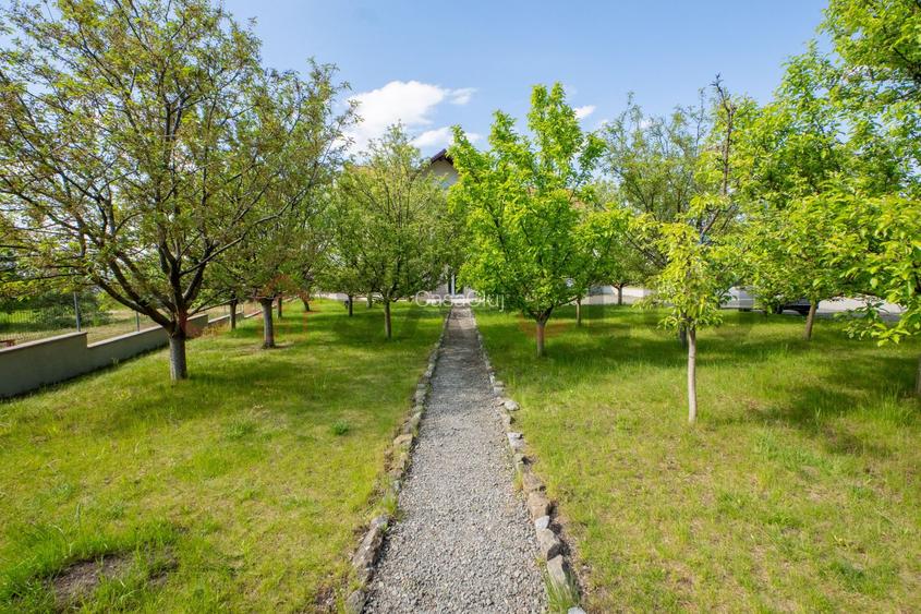Casa de vânzare in Făget, 1000mp teren cu livadă și grădină! - 30