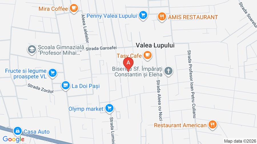 Proprietar închiriez apartament cu 1 cameră în Valea Lupului  - 10