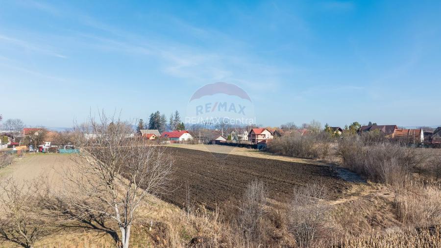 Teren intravilan 9.000 mp pentru dezvoltare rezidențială sau mixtă - 13