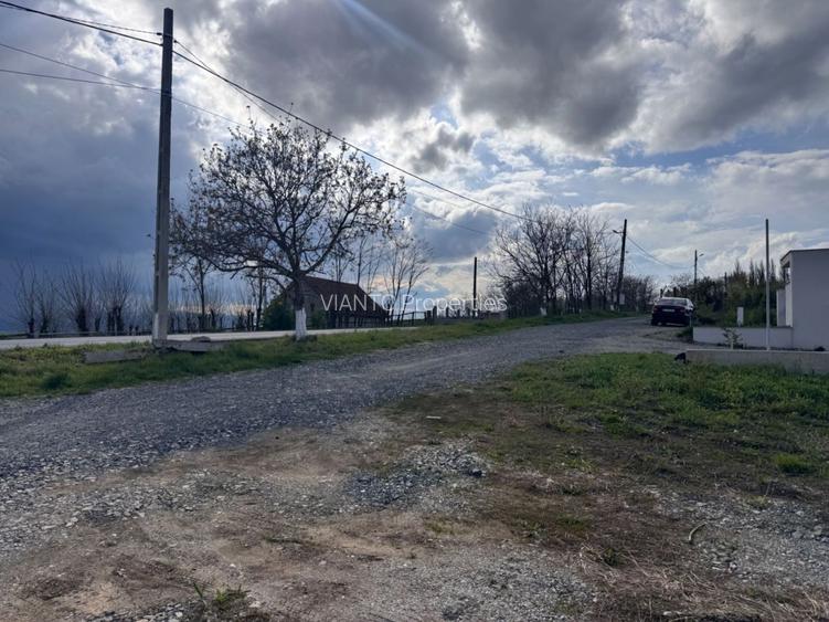 TEREN INTRAVILAN PREMIUM 2.000 MP LA DRUM JUDETEAN | DAIA - 4