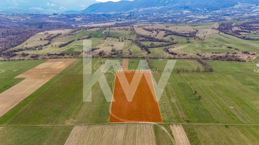 Teren intravilan – Zarnești, Zona Penny | 25 Euro/ mp - 7