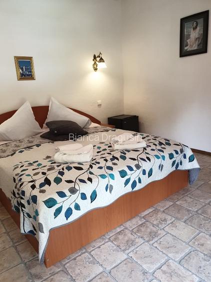 Pensiune de vânzare – ideală pentru investiție - 11