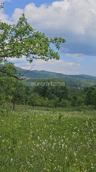 Teren intravilan 3.800 mp Comarnic | Panoramă superbă | Ideal Glamping & Pensiun - 4