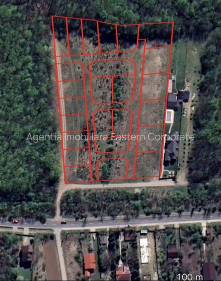 EXCLUSIVITATE-PROIECT UNIC PADUREA SNAGOV! Loturi 400-600 m2 ,PUZ rezidential  - 3