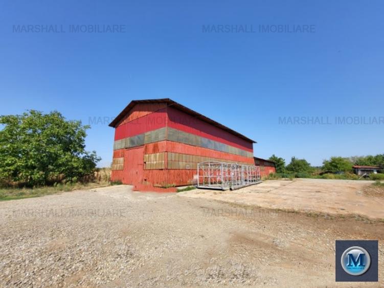 Spatiu industrial de inchiriat in Baicoi, zona Sud-Vest, 600 mp #16616