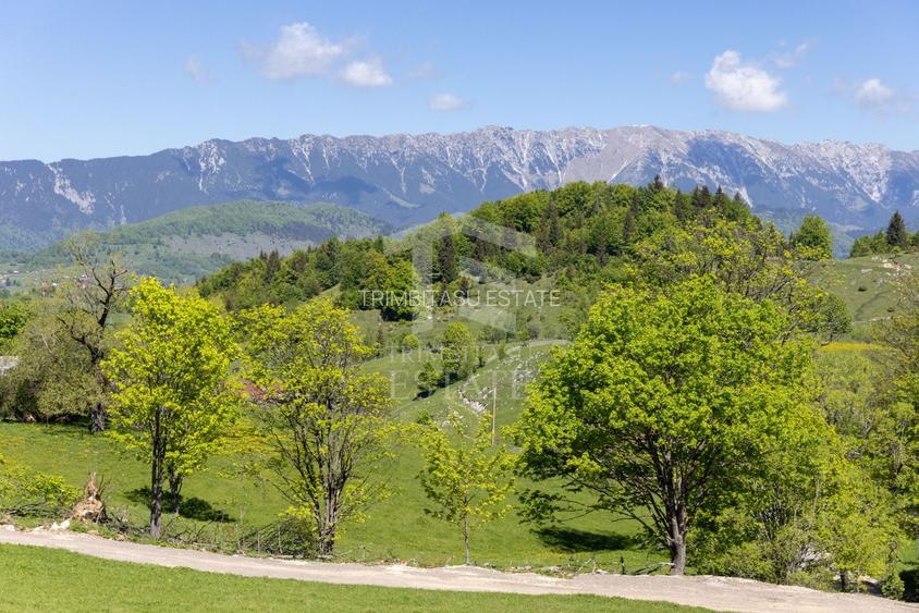 Fundata-Teren de vanzare 15,771 mp intravilan+extravilan+padure - 6