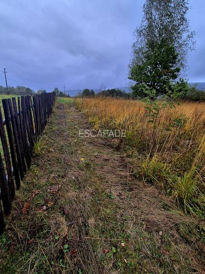 Comision 0%, teren extravilan 12497 mp Sinca Noua - 14