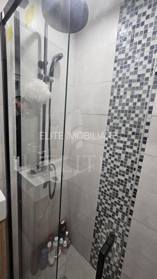 Apartament 2 camere în zona strazii Ariesului - 20