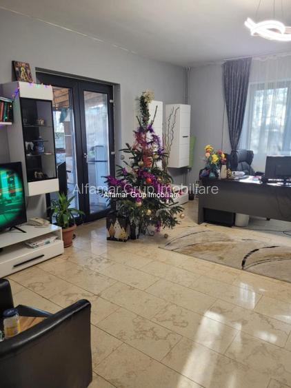 Vanzare proprietate cu 2 case Zurbaua- Dragomiresti Vale - 12