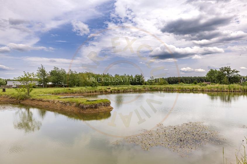 Afacere functionala - MOTEL si CAMPING cu terasa, piscina si lacuri pescuit - 19
