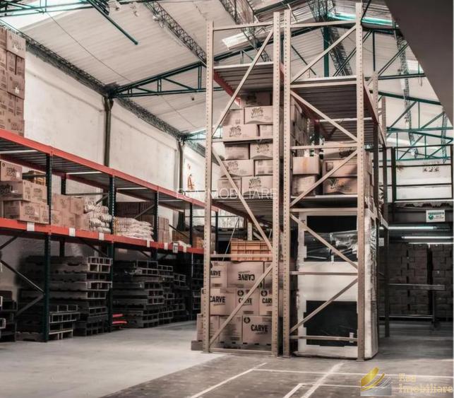 Hale de inchiriat: 275-450-550mp- Bragadiru - 2