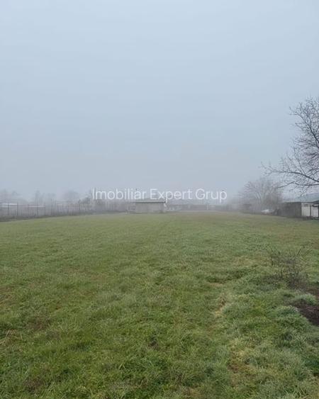 Casa si teren 1800 mp Darasti - 2