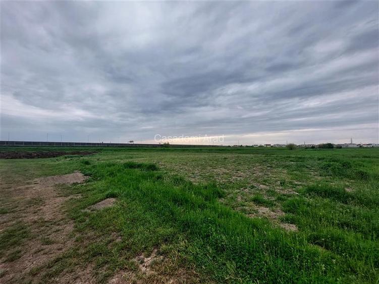 Teren intravilan langa autostrada, Aradul Nou - 3