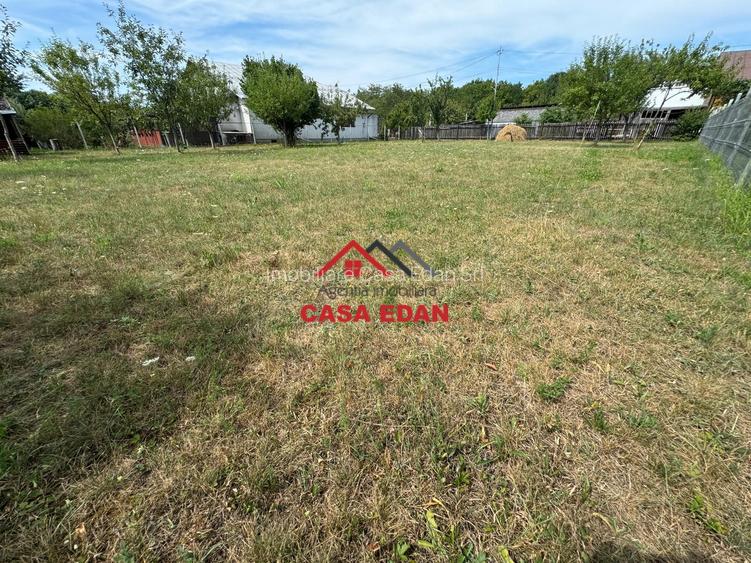 ●Teren in Campina--920mp--28.000e● - 7