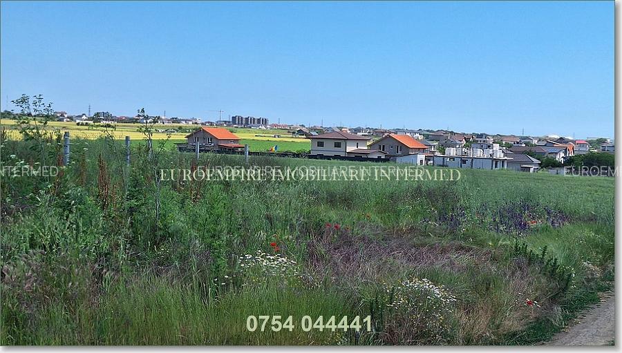 Teren de vanzare intravilan 5000mp localitatea Lazu - 2