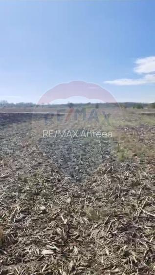 Teren 3,700mp Sat Tantava  Strada Tufan - 2