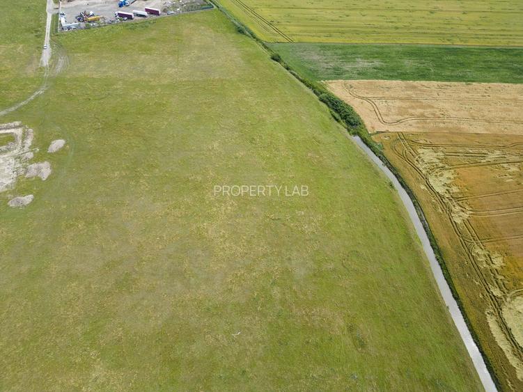 Teren intravilan de 26,606mp Sacalaz - 32