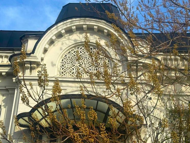 Imobil cu arhitectura unica, teren 700 mp cartierul Evreiesc - 2