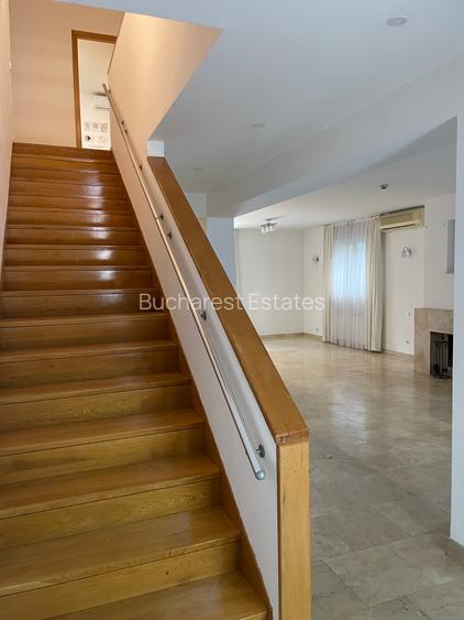 Iancu Nicolae vila 5 dormitoare gradina matura - 7