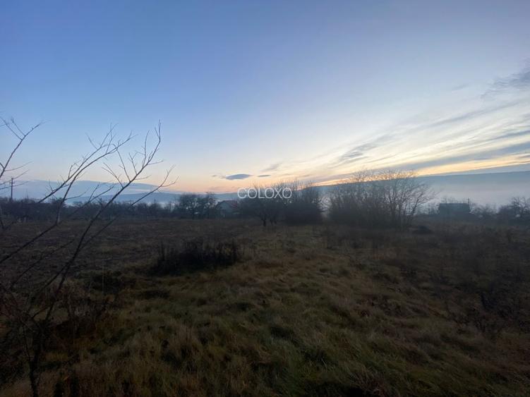 Teren de vanzare 5.370 mp - Dobrovat - 4