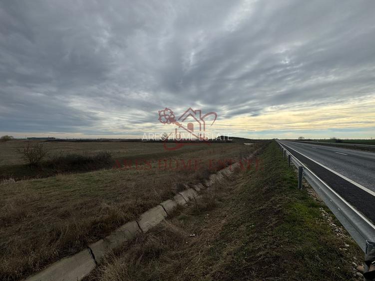 Teren 5.000 mp centura Calea Sagului- Freidorf. Comision 0 - 3