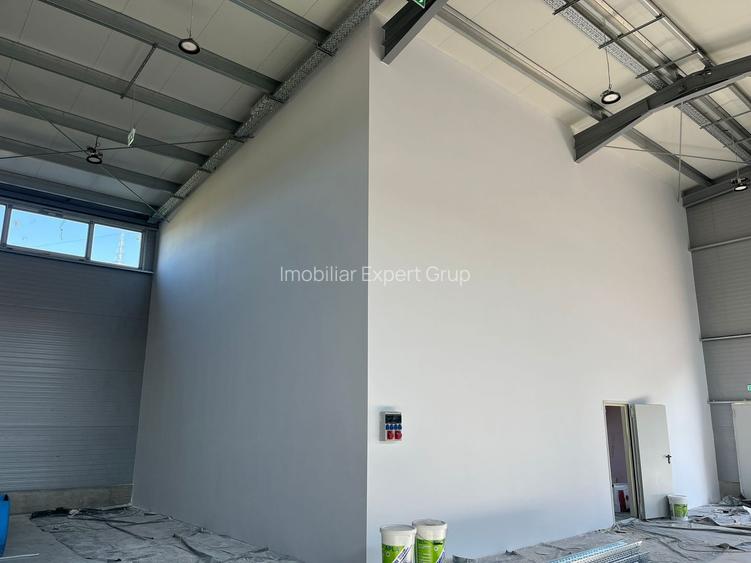 Zona Drumul intre Tarlale - hala noua - 600mp - 4