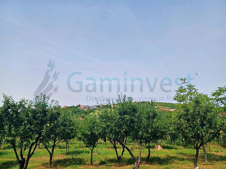 Teren intravilan, zona Izvorului, Oradea, Bihor - 4