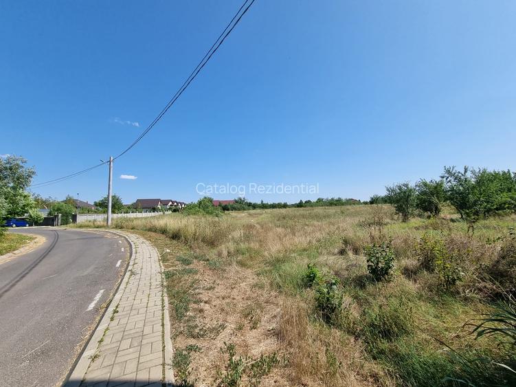 Teren de vanzare in Loc Domnesti - Tudor Vladimirescu - 5