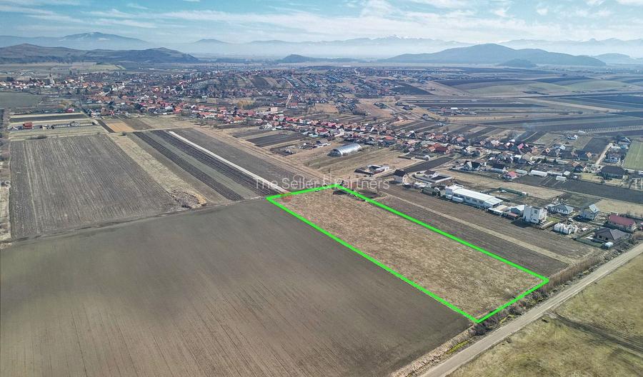 Teren Extravilan, P.U.Z. inceput - 4