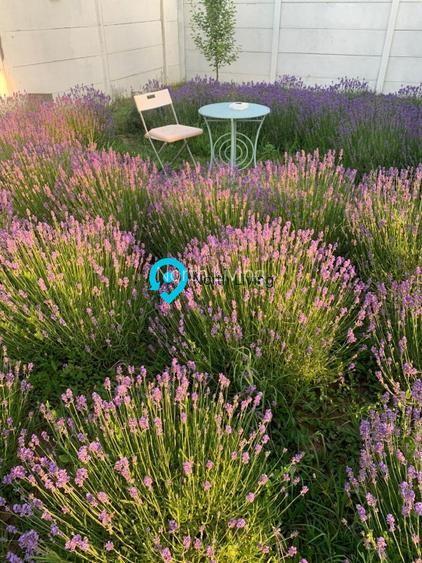 Casa 3 camere, curte mare, incalzire pardoseala Tunari - 13