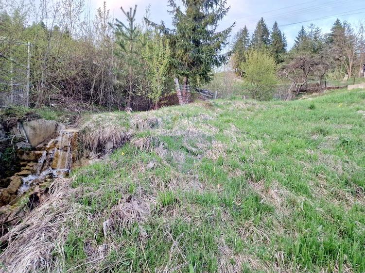 Teren cu vedere la Muntele Ceahlau - 32