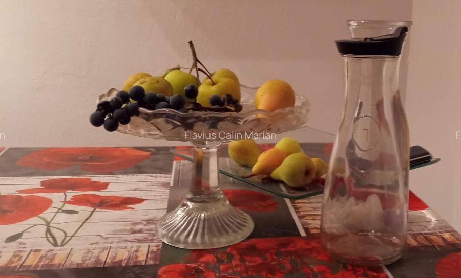 Vanzare casa - 146 mp locuibili / suprafata totala 560 mp - 8