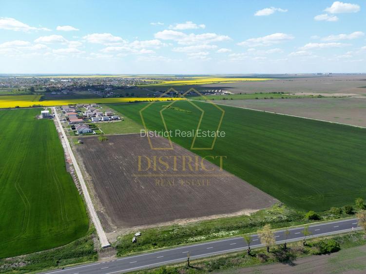COM 0% Teren industrial pretabil hale, servicii | DN69 Sanandrei - 3