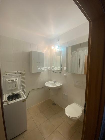 Apartament cu o camera in Piata Doina - 2