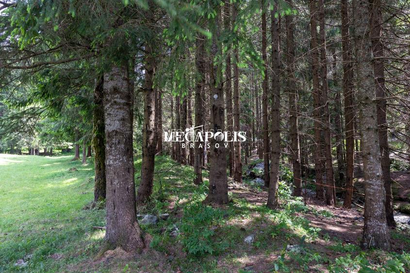 Pretabil Hotel,Pensiune,Case de Vacanta/Utilitati/PUZ - 20