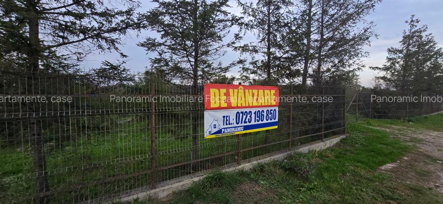 LIVADA  DE VANZARE FOCSANI-DUMBRAVITA  1,8  HA - 6