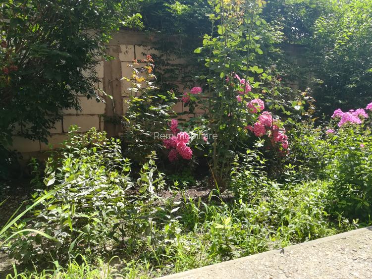 Birou de inchiriat in vila - 14