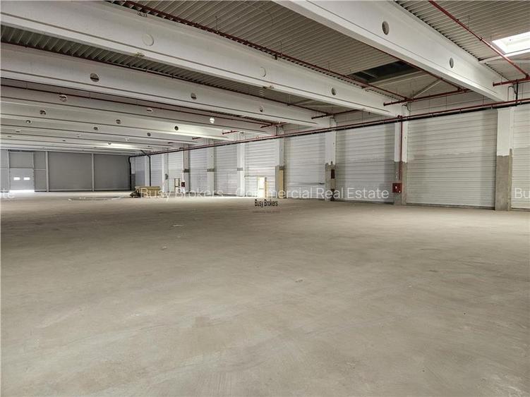 Spatiu Industrial - 2300 mp - Productie - Depozitare - Distributie - 6
